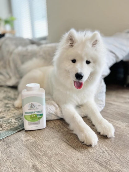 Four Paws Healthy Promise Brewer's Yeast for Dogs Immunity 250 Count