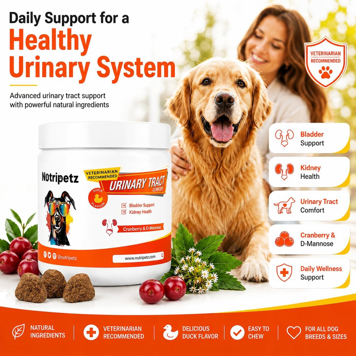 NutriPetz Cranberry Supplement for Dogs - Bladder and Urinary Tract Support - 120 Chews - görsel 2
