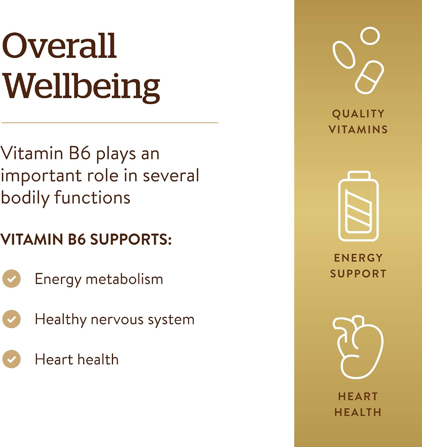 Solgar Vitamin B-6 100 mg, 100 Tablets - görsel 4