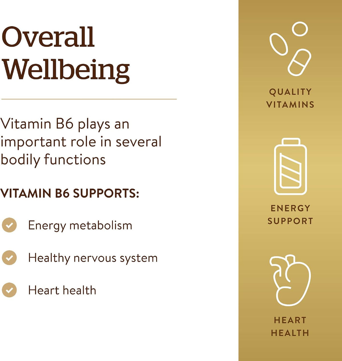 Solgar Vitamin B-6 100 mg, 100 Tablets - görsel 4