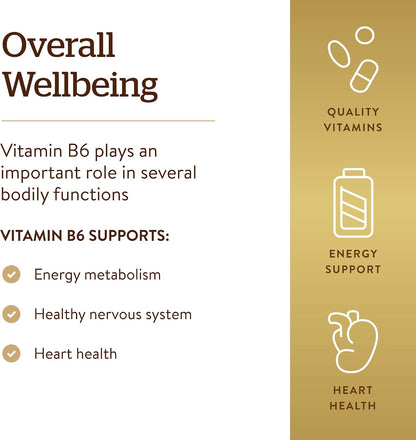 Solgar Vitamin B-6 100 mg, 100 Tablets