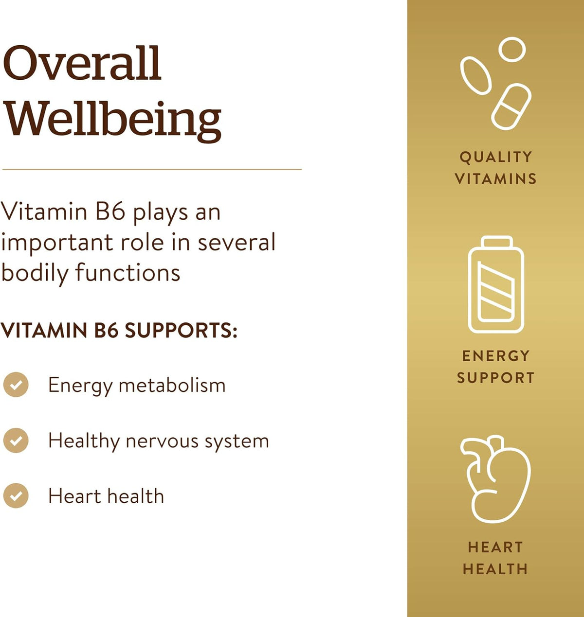 Solgar Vitamin B6 25 mg, 100 Tablets - görsel 4