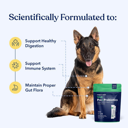 Honest Paws Probiotics for Dogs – Digestive & Immune Support Powder with Prebiotic, Chicken Flavour (30 Sticks)