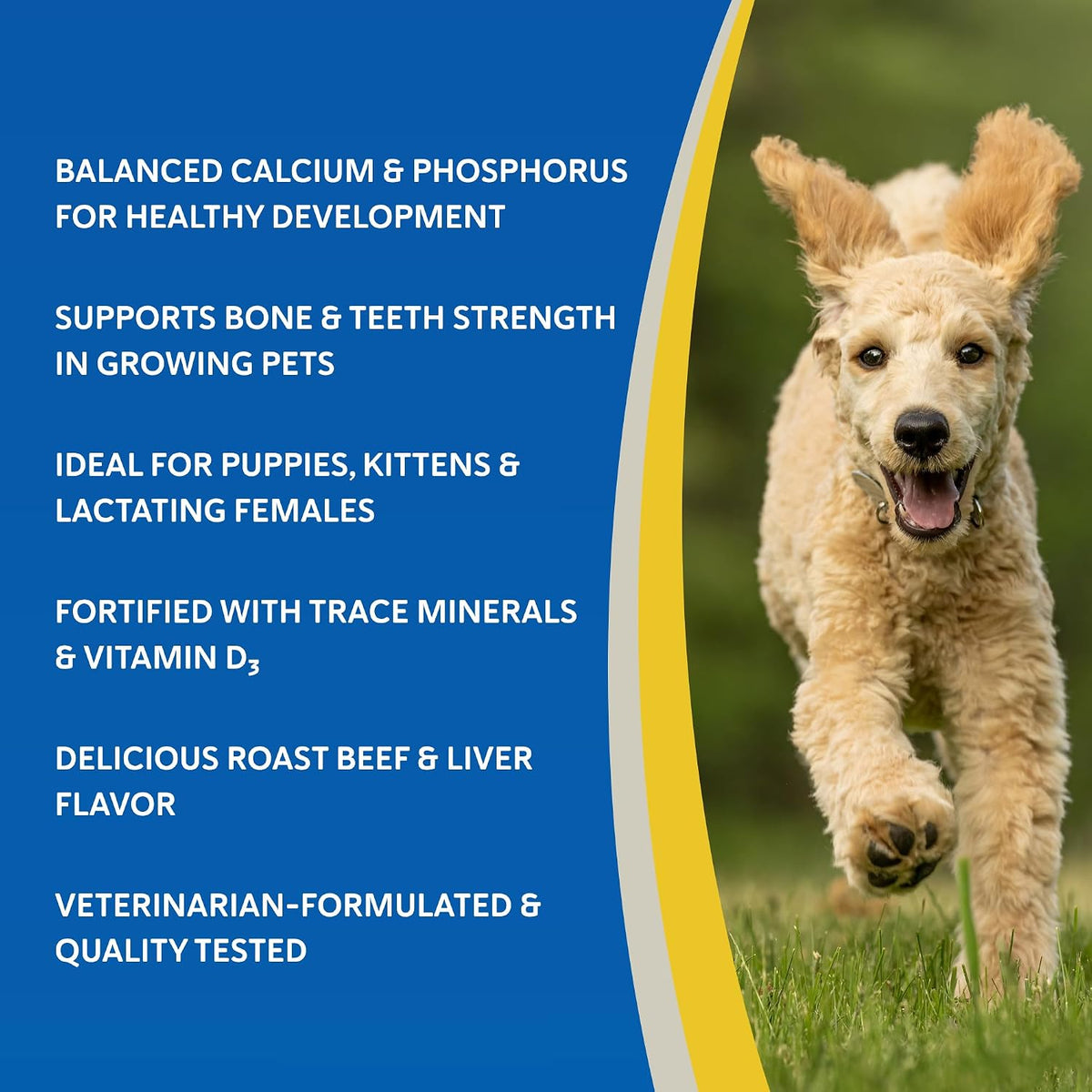 Doc Roy's Healthy Bones Calcium Phosphorus Supplement - Roast Beef & Liver Flavoured, 100 Chewable Tablets - görsel 4