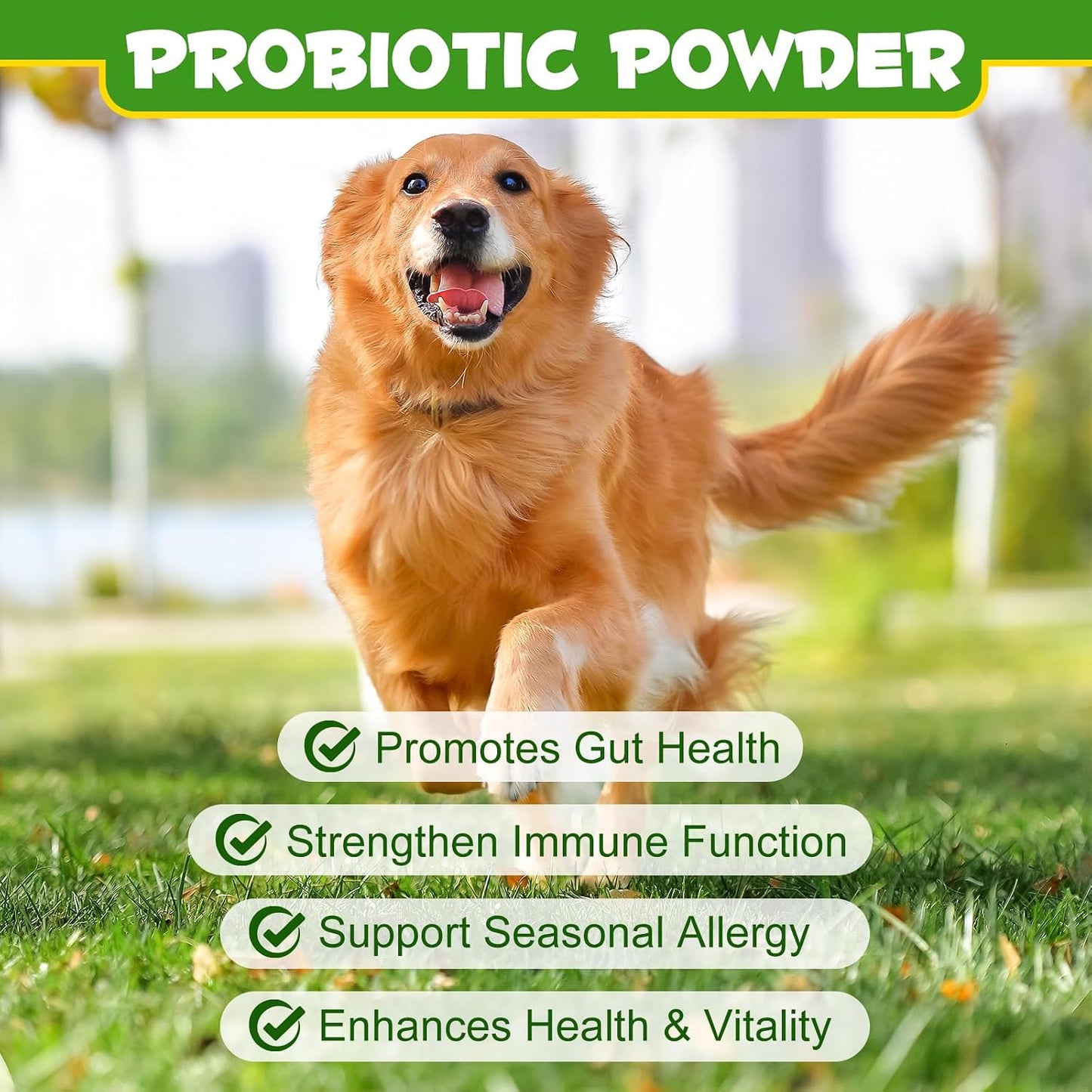 ALIVO Probiotics Powder for Dogs - Pre & Probiotic Digestive Supplement - görsel 9