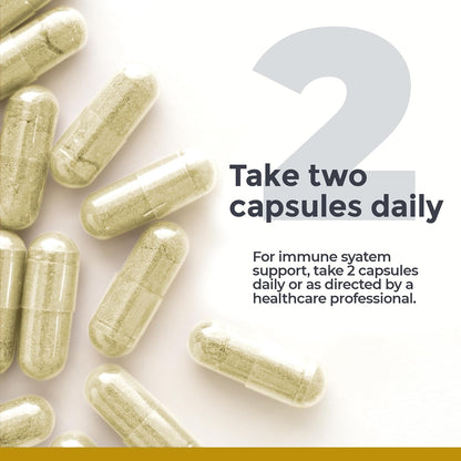 Premier Research Labs Essential C Complex - Whole Food Vitamin C with Bioflavonoids & Rose Hips - 60 Vegetarian Capsules