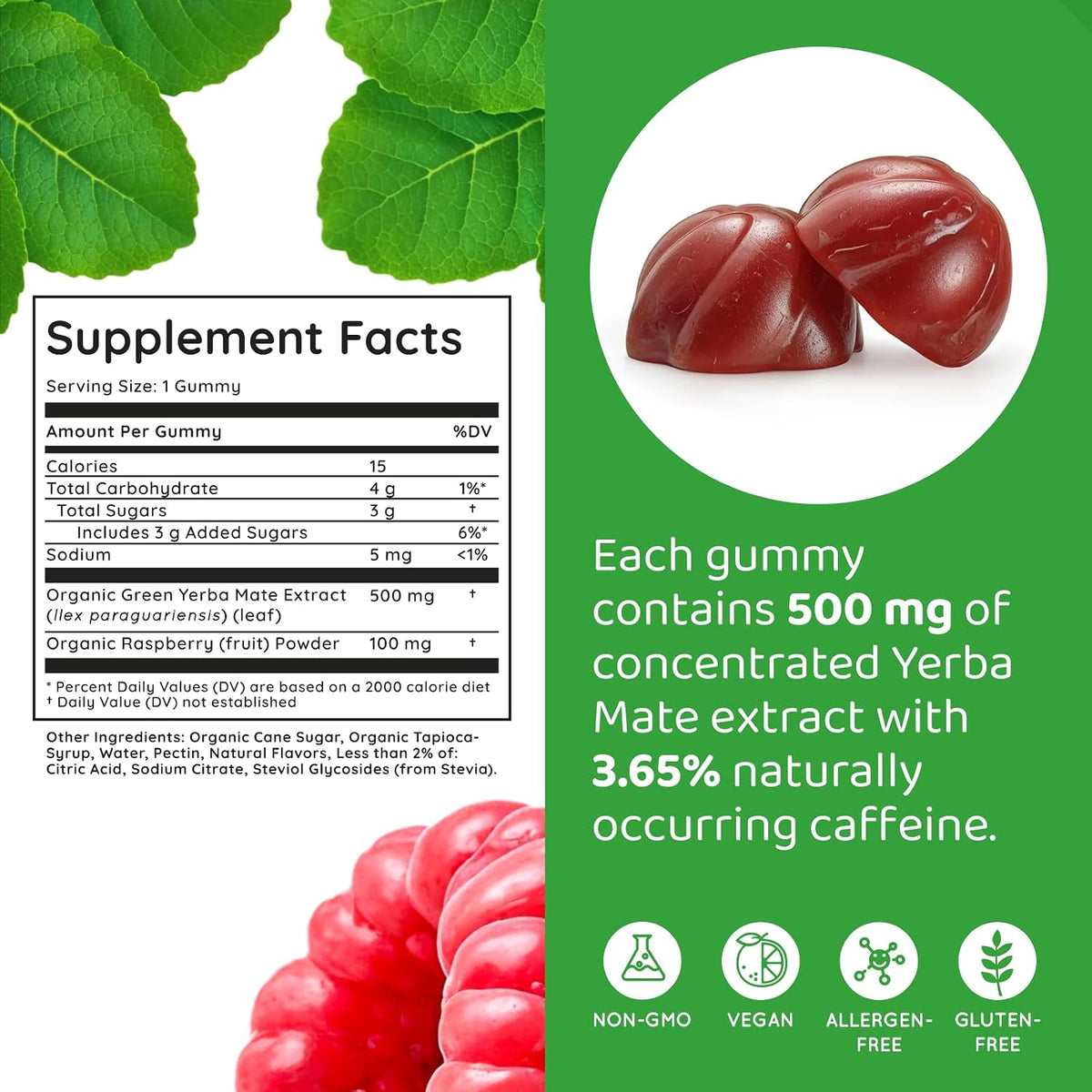 HOLYMARY Yerba Mate Gummies, Raspberry Flavour - Energy, Focus, Power - Vegan, Non-GMO, Natural Ingredients, Gluten-free, 50 Gummies - görsel 7