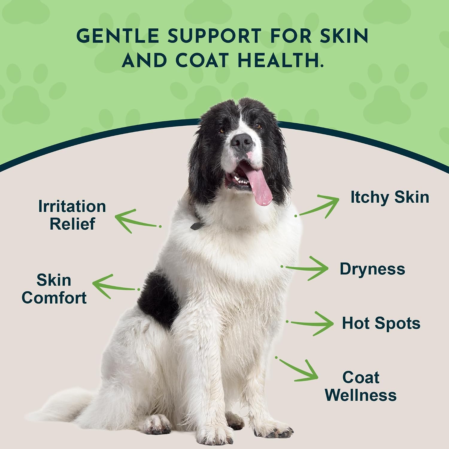 Animal Essentials Fido-Derm Herbal Skin Spray for Dogs, Cats & Horses – Natural Itch Relief and Hot Spot Care, 118 ml - görsel 3