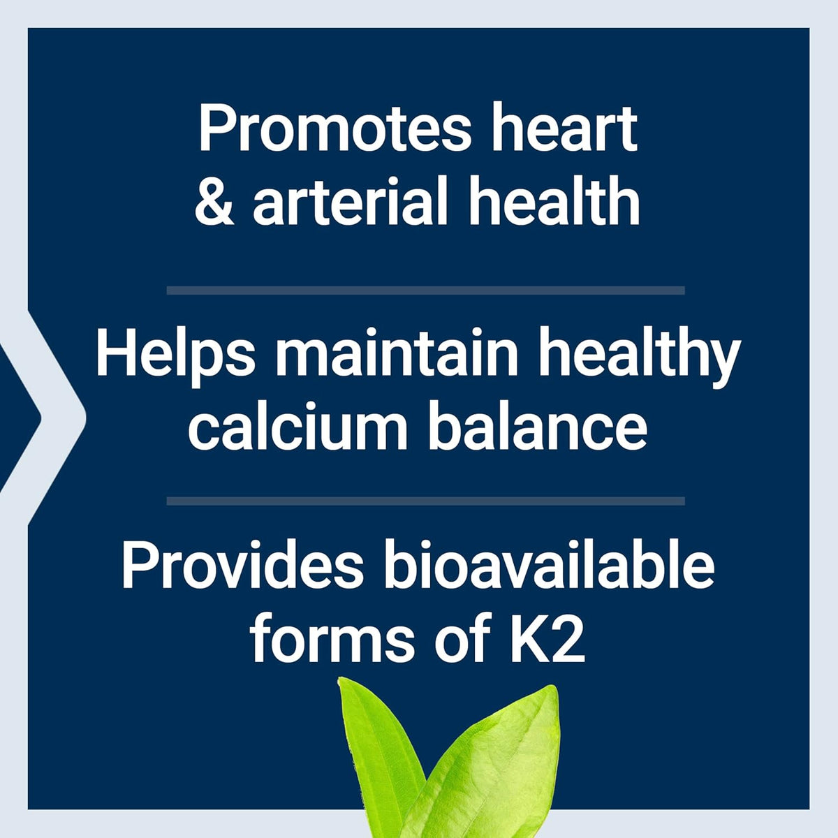Life Extension Super K – Vitamin K Supplement with K1 and K2, 90 Soft Capsules - görsel 4