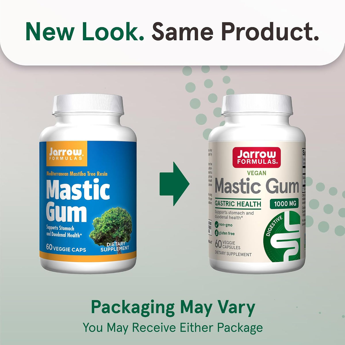 Jarrow Formulae Mastic Gum 1000 mg - 60 Veggie Capsules (12-Pack) - görsel 2