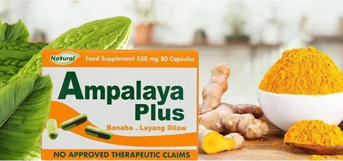 Pack of 4 Ampalaya Plus Supplement 550mg - 120 Capsules - Natural & Vegan - Organic Bitter Melon Capsules - Halal Herbal Food Supplement - görsel 2