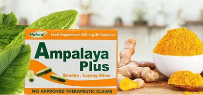 Pack of 4 Ampalaya Plus Supplement 550mg - 120 Capsules - Natural & Vegan - Organic Bitter Melon Capsules - Halal Herbal Food Supplement