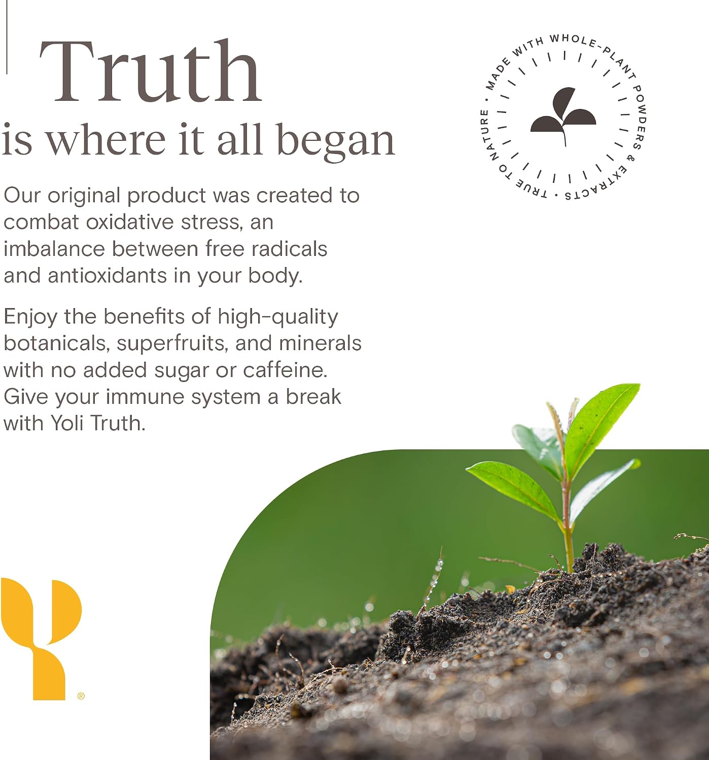 Yoli Truth Antioxidant and Immune Support, Citrus Flavour, 30 Sachets Box | Antioxidant and immune blend with vitamin C, botanicals, superfruits and minerals to support daily wellness and vitality. - görsel 9