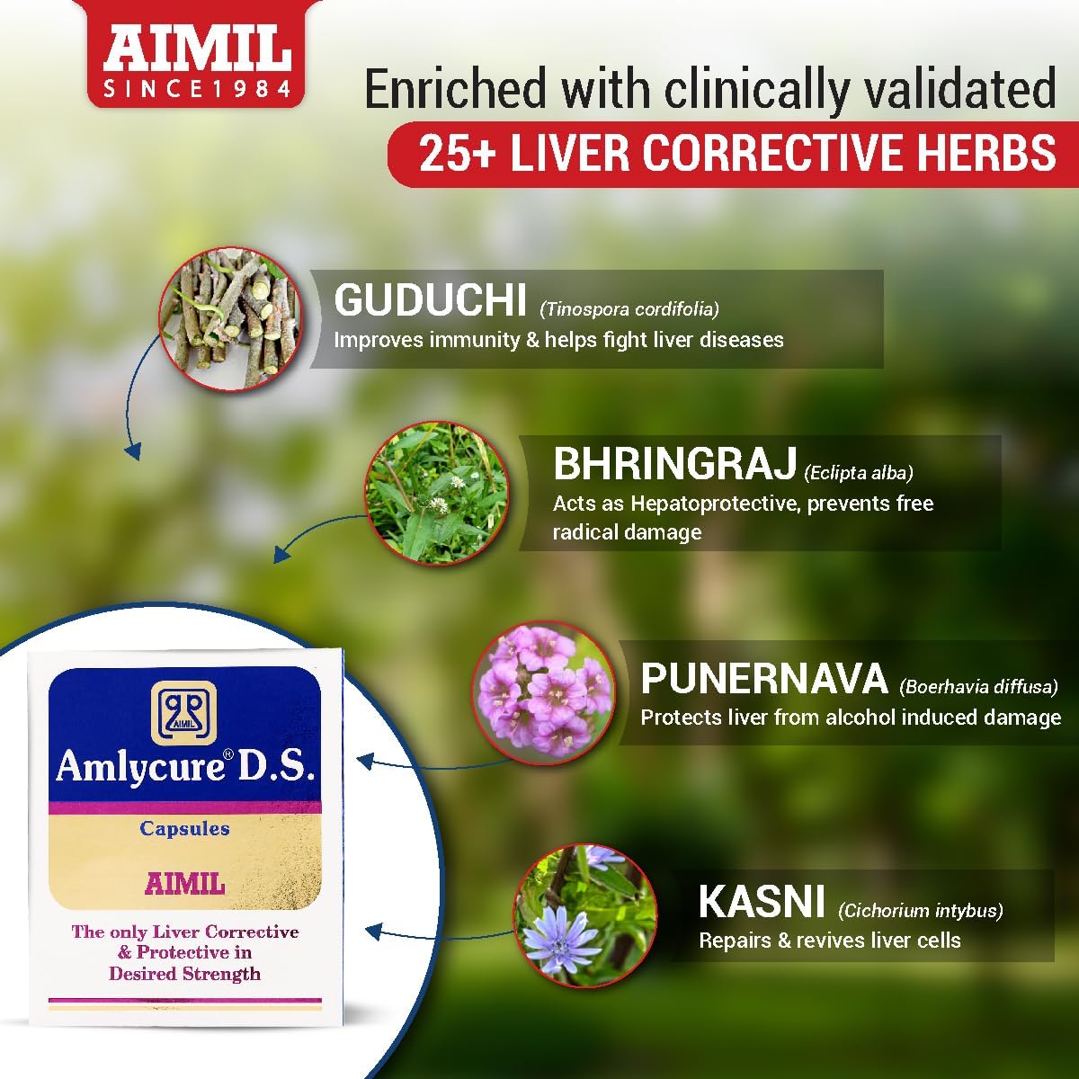 AIMIL Amlyvcure D.S Capsules – Liver Support Ayurvedic Supplement (20 Tablets x 2) - görsel 2