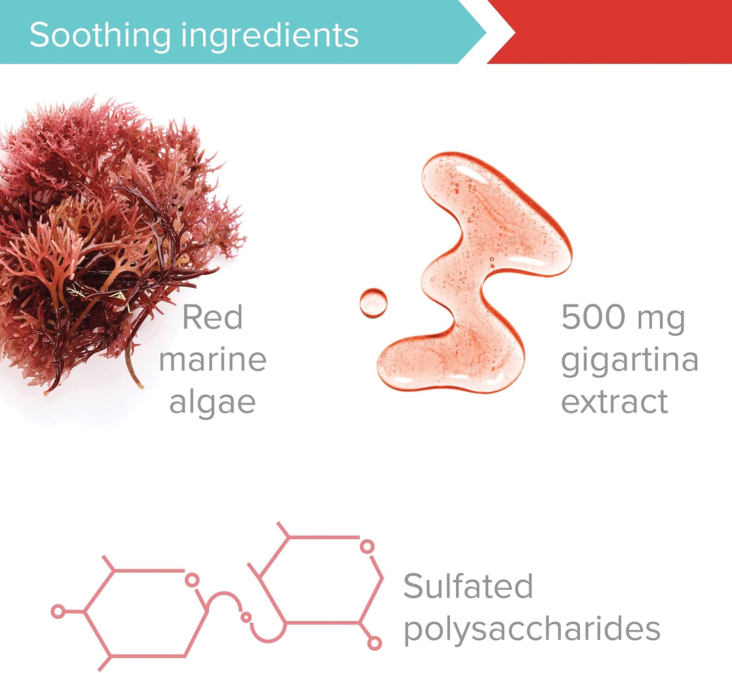Vibrant Health Gigartina Red Marine Algae – Plant-Based Immune Support - görsel 7