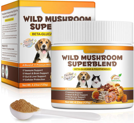 Mushroom Supplement Powder for Dogs & Cats – 11 Mushroom Blend – Immune & Digestive Support – Bacon Flavour (120g)