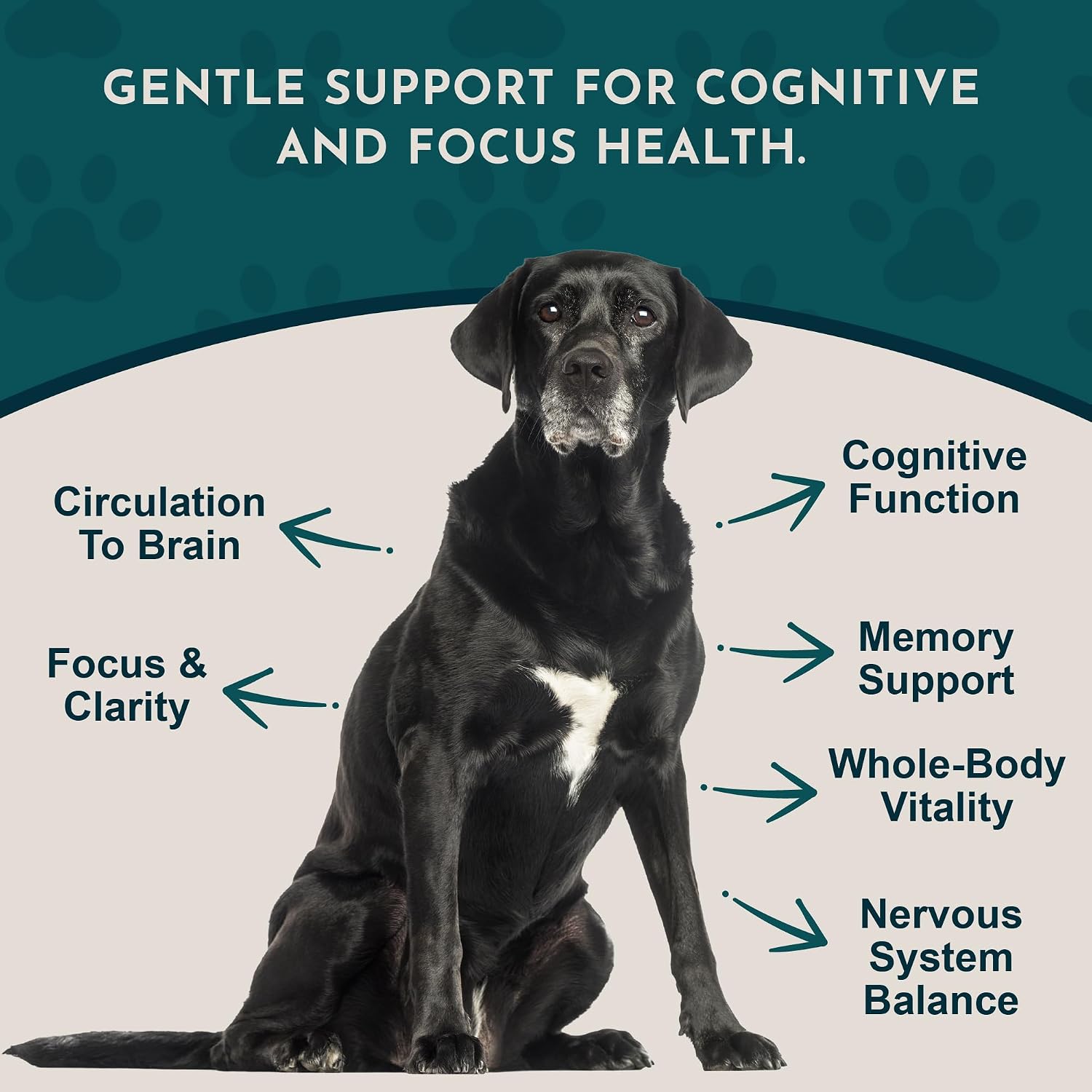 Animal Essentials Brain Awake Cognitive Support Formula for Dogs & Cats, 30 ml - görsel 3