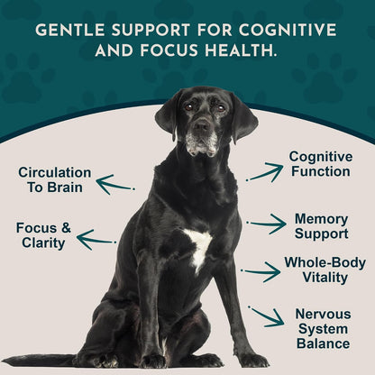 Animal Essentials Brain Awake Cognitive Support Formula for Dogs & Cats, 30 ml