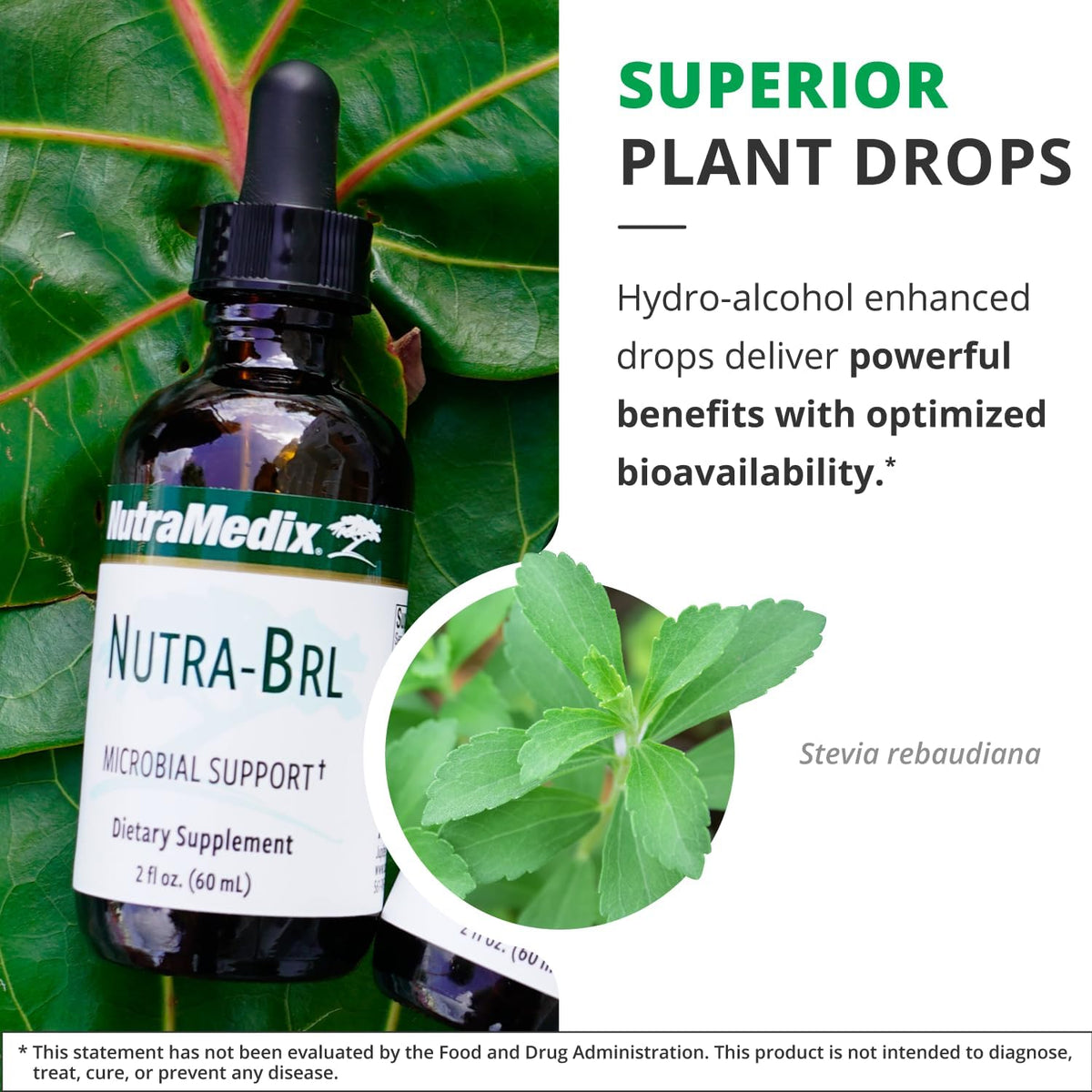 NutraMedix Nutra BRL - Liquid Herbal Supplement with Samento and Banderol for Immune and Microbial Support (60 ml) - görsel 5