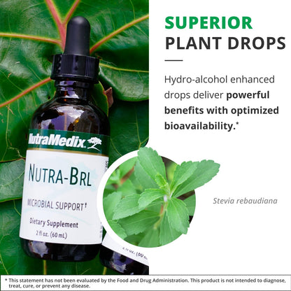NutraMedix Nutra BRL - Liquid Herbal Supplement with Samento and Banderol for Immune and Microbial Support (60 ml)