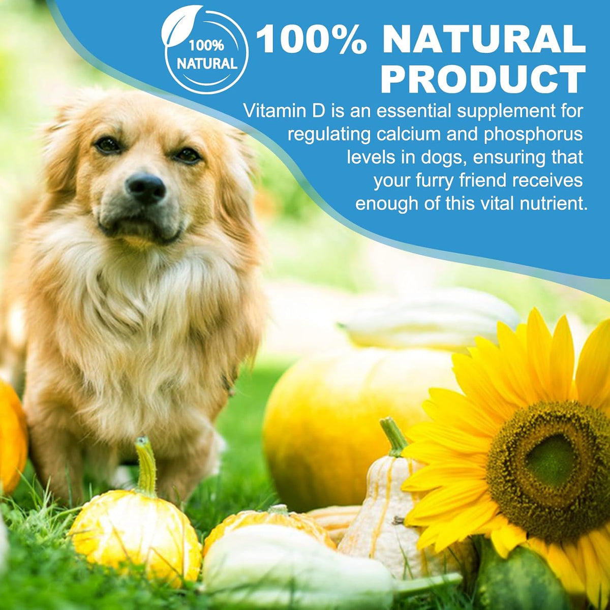 Vitamin D for Dogs, Liquid Vitamin D Drops, Dog Vitamins D Drops Promote Calcium Absorption, Supports Immune System, Hip & Joint Health, and Dental Health, Dog Multivitamin Supplements - görsel 4