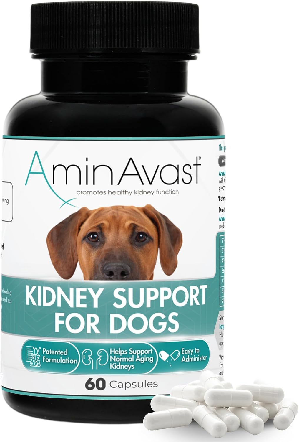 AminAvast Dog Kidney Supplement - Supports Natural Kidney Function - Promotes Health & Vitality of Ageing Kidneys - Pet-Friendly, 1000mg, 60 Capsules - görsel 1