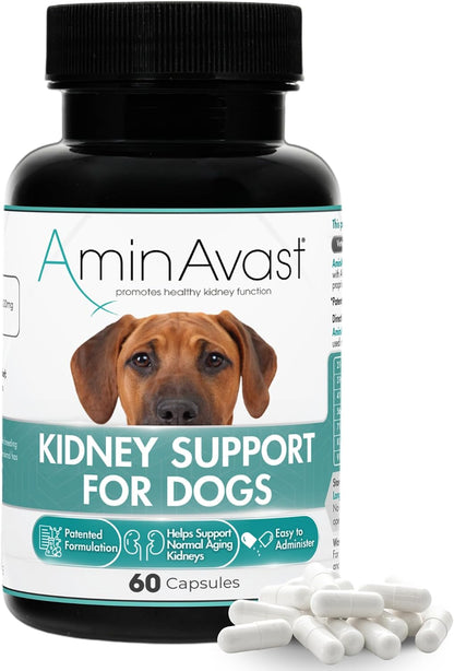 AminAvast Dog Kidney Supplement - Supports Natural Kidney Function - Promotes Health & Vitality of Ageing Kidneys - Pet-Friendly, 1000mg, 60 Capsules