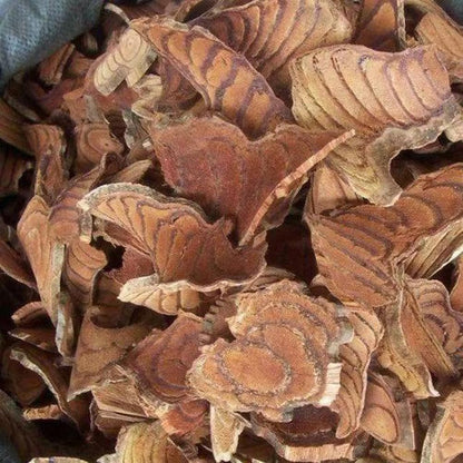 Spatholobus Suberectus Ji Xue Teng (100g)