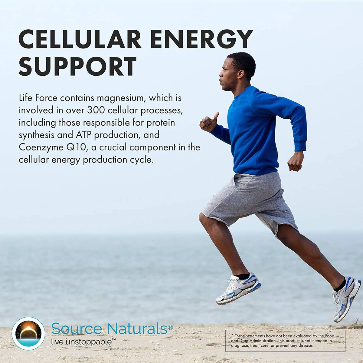 Source Naturals Men's Life Force Multiple Daily Multivitamin - 45 Tablets - görsel 5