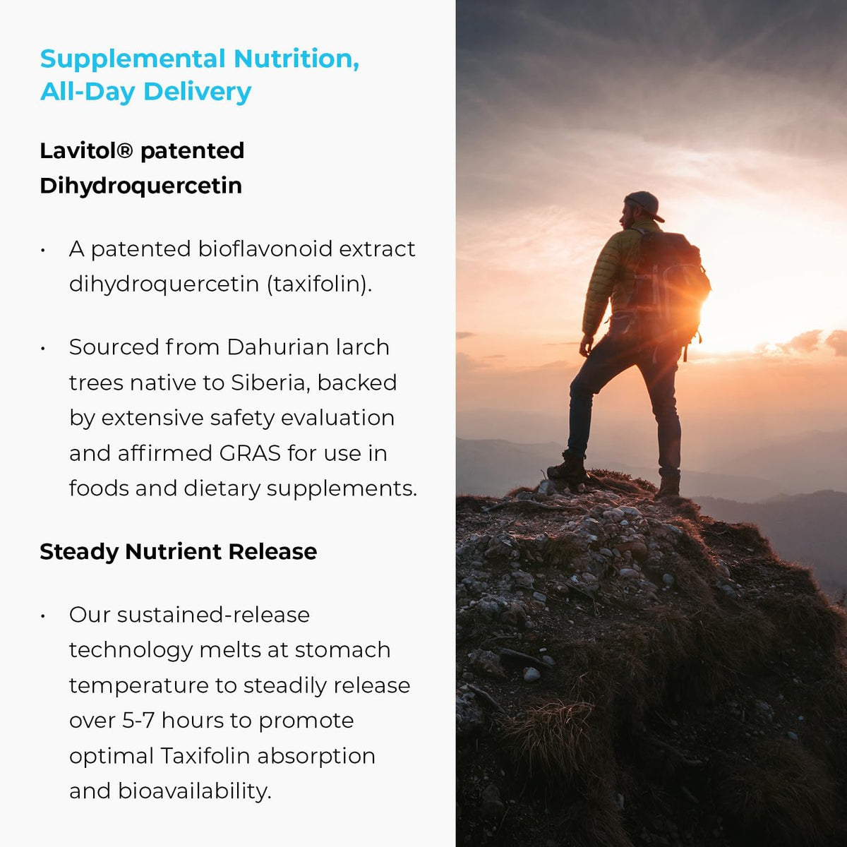 ENDUR Taxifolin SR (Sustained Release) Dihydroquercetin 60 mg - 60 Tablets - görsel 4