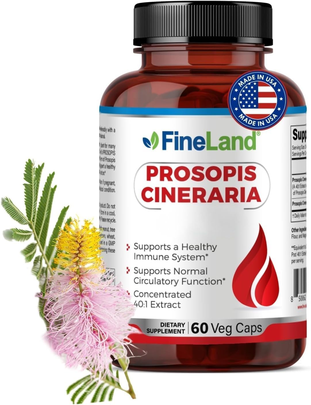 FineLand Prosopis Cineraria – Full Spectrum – Supports Cholesterol, Circulation & Arterial Health – 60 Vegan Capsules - görsel 1