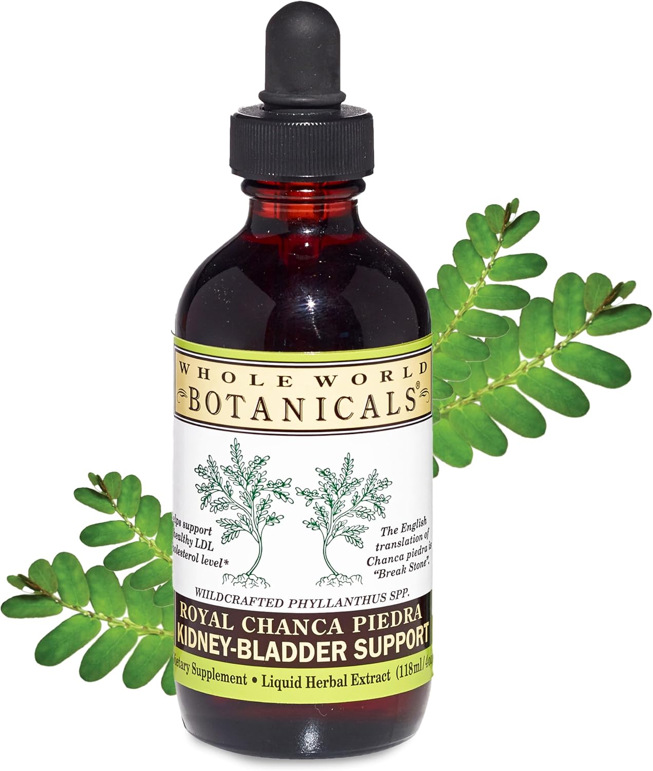 Whole World Botanicals Royal Chanca Piedra – Kidney & Bladder Support – Liquid Extract 4 oz (118 ml) - görsel 2