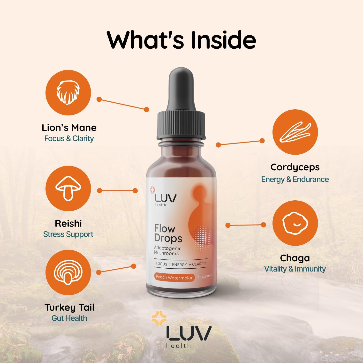 Flow Drops® – Energy Support for Focus, Mental Clarity & Immune Health with Adaptogenic Mushrooms – Lion’s Mane, Cordyceps, Reishi, Chaga & Turkey Tail – Vegan, Made in USA – 90 Servings - görsel 2