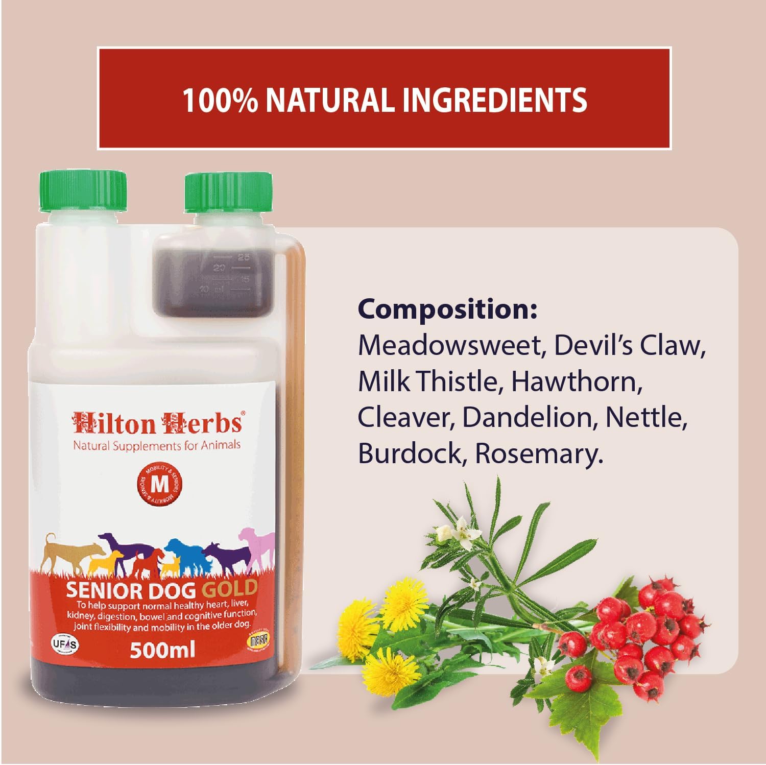 Hilton Herbs Canine Veteran Gold – 16 oz - görsel 3