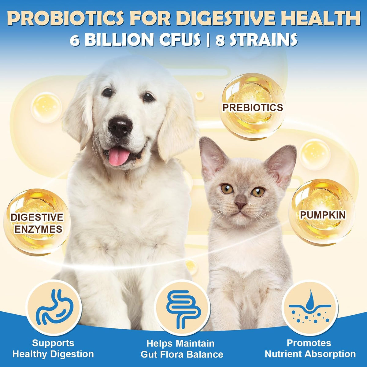 ZEBORA Probiotics for Dogs - Probiotic Powder with Pumpkin, Prebiotics & Enzymes, 6 Billion CFUs, Chicken Flavour (90 Scoops) - görsel 2