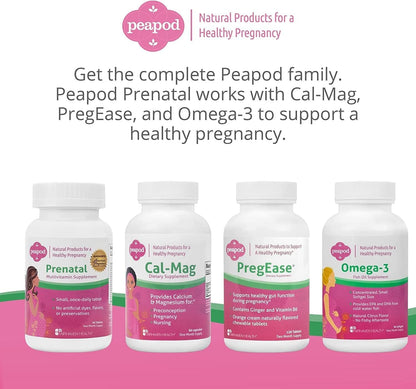 Fairhaven Health Peapod Prenatal Multivitamin – Once Daily, Vanilla Flavour – with Methylfolate, Iron & Vitamin C – 60 Tablets (2-Month Supply)