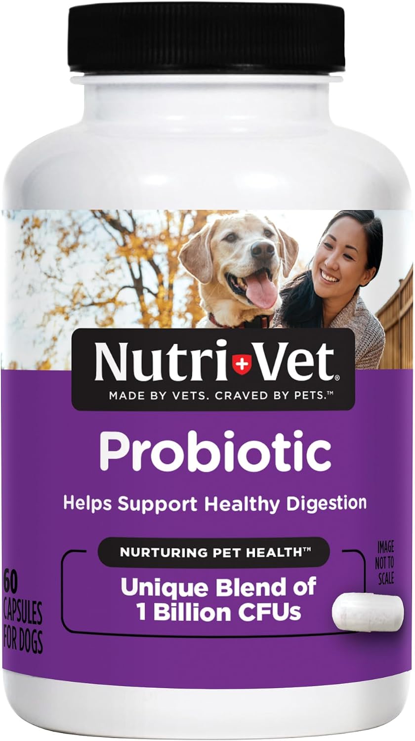Nutri-Vet Probiotics for Dogs - Digestive Health & Immune Support, Vet-Formulated, 60 Capsules - görsel 1