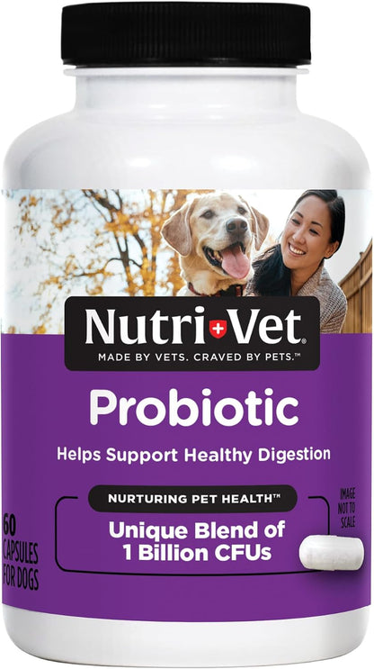 Nutri-Vet Probiotics for Dogs - Digestive Health & Immune Support, Vet-Formulated, 60 Capsules
