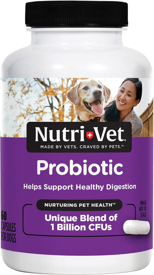 Nutri-Vet Probiotics for Dogs - Digestive Health & Immune Support, Vet-Formulated, 60 Capsules