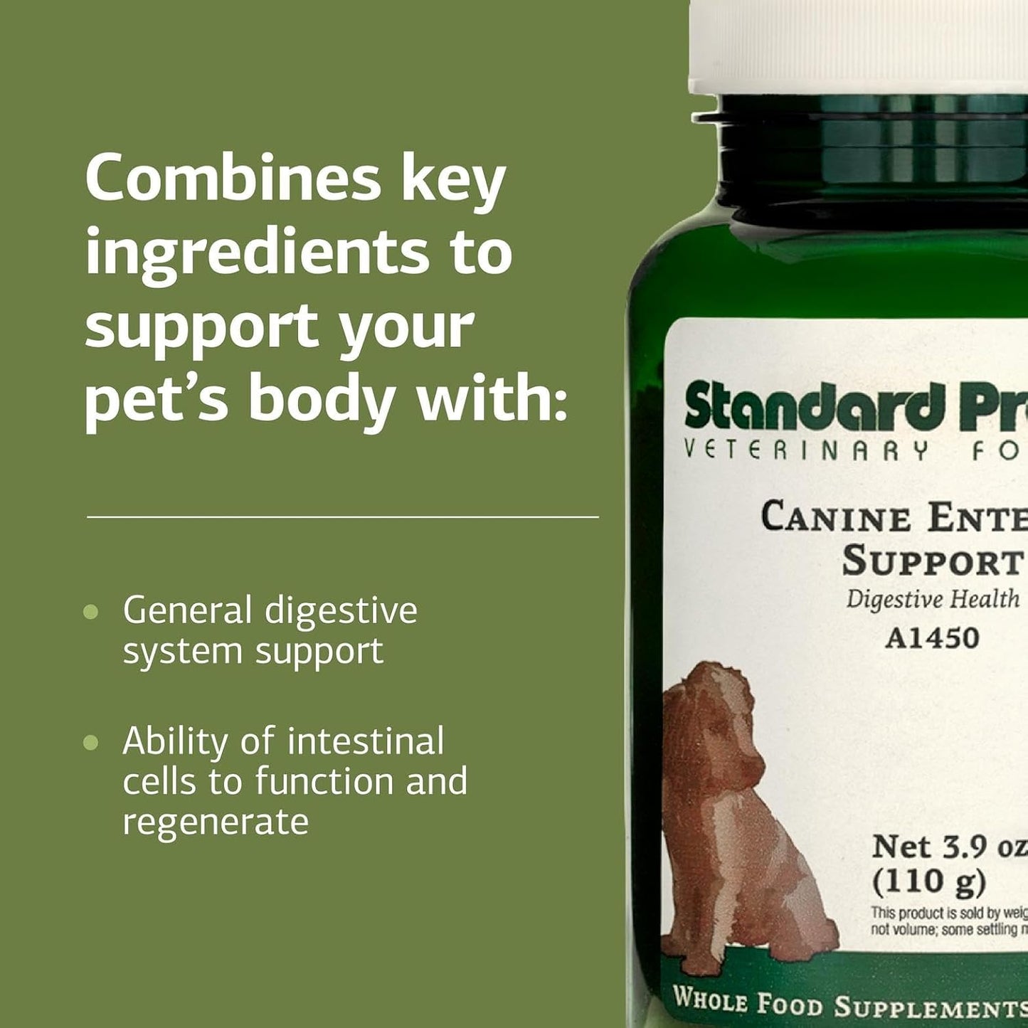 Standard Process Canine Enteric Support - Digestive System Support for Dogs - Nutritional Dog Supplement for Gut Health - Canine Supplement Formula to Aid Healthy Digestion - 110 g - görsel 4