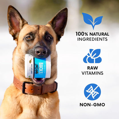 Organic Kelp Powder for Dogs, Dried Sea Kelp Supplement for Normal Thyroid Function, Dental Hygiene, Immune Support, Digestion, Skin & Coat – Iodine Rich – Multivitamin for Cats & Dogs – Made in the USA