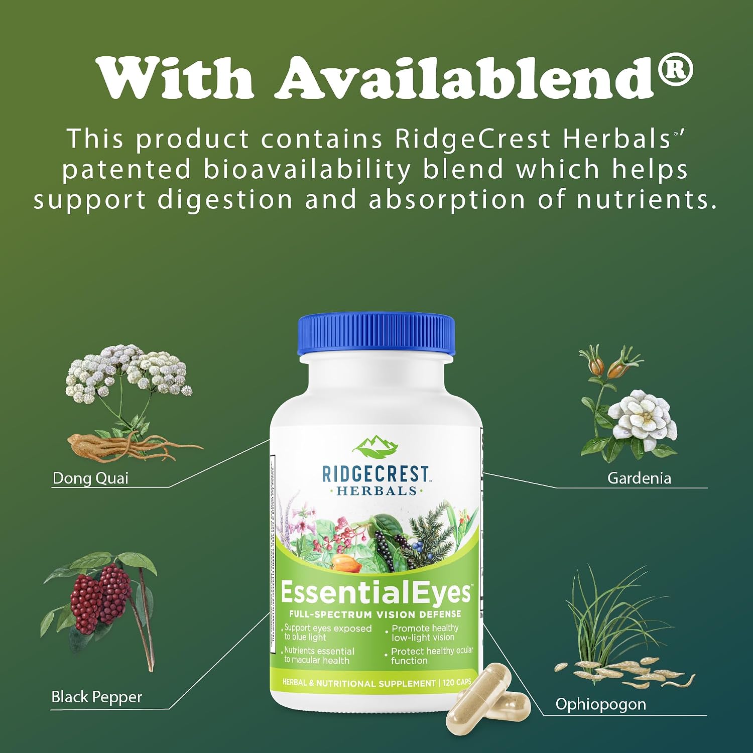 Ridgecrest Herbals EssentialEyes – Natural Eye Vitamin Supplement with Lutein, Zeaxanthin, and Bilberry Extract (120 Vegan Capsules) - görsel 7