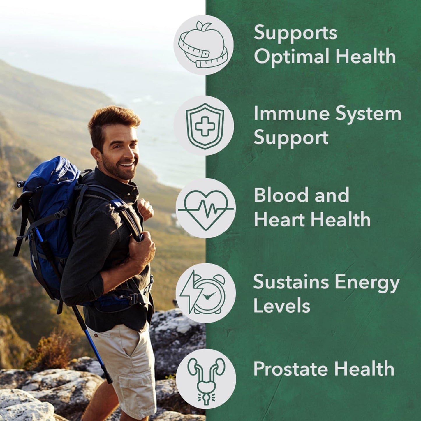 PlantFusion Organic Multivitamin for Men – One Daily Whole Food Blend – Vegan, Non-GMO, Gluten-free & Dairy-free – 60 Tablets - görsel 2
