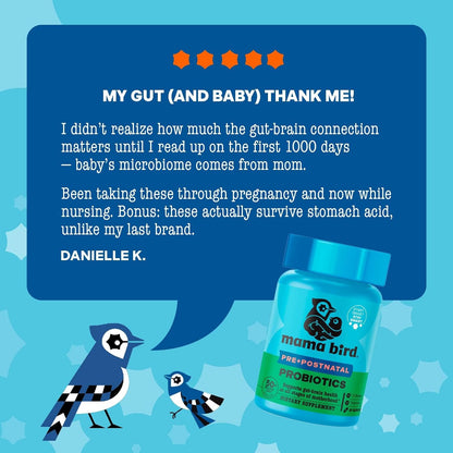 Mama Bird Probiotics – Digestive Health Supplement with 50 Billion CFU for Expectant Mothers
