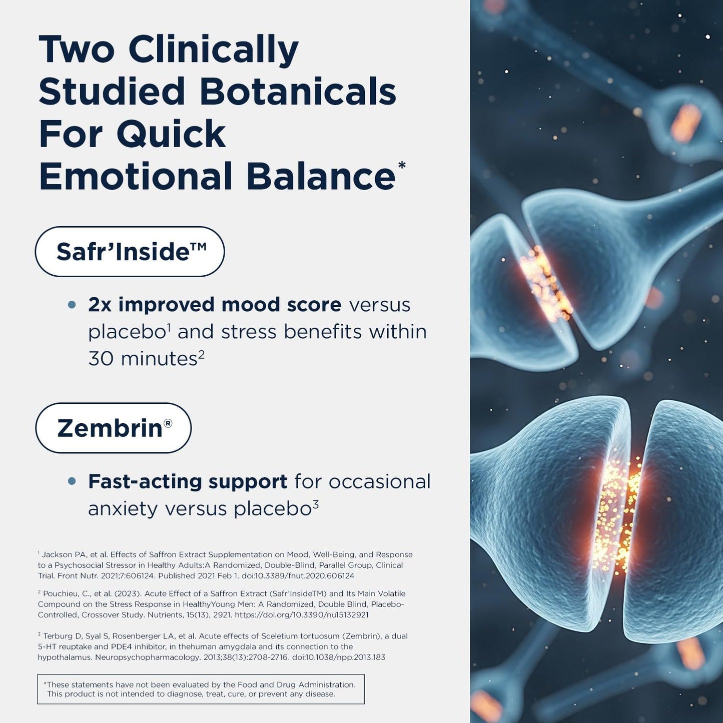 Designs for Health Mood-Stasis - Stress & Calm Mood Support with Vitamin B12, Methylated Folate, Saffron & Sceletium, 30 Capsules - görsel 3