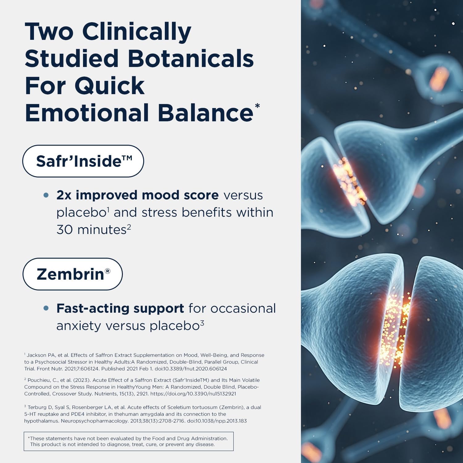 Designs for Health Mood-Stasis - Stress & Calm Mood Support with Vitamin B12, Methylated Folate, Saffron & Sceletium, 30 Capsules - görsel 3