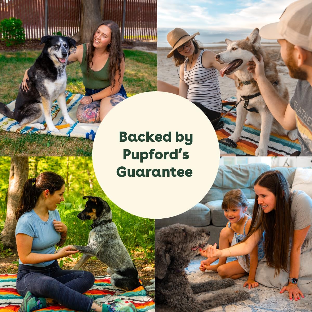 Pupford Super Pup 3-in-1 Daily Supplement for Dogs – Chicken Flavour (60g) - görsel 9