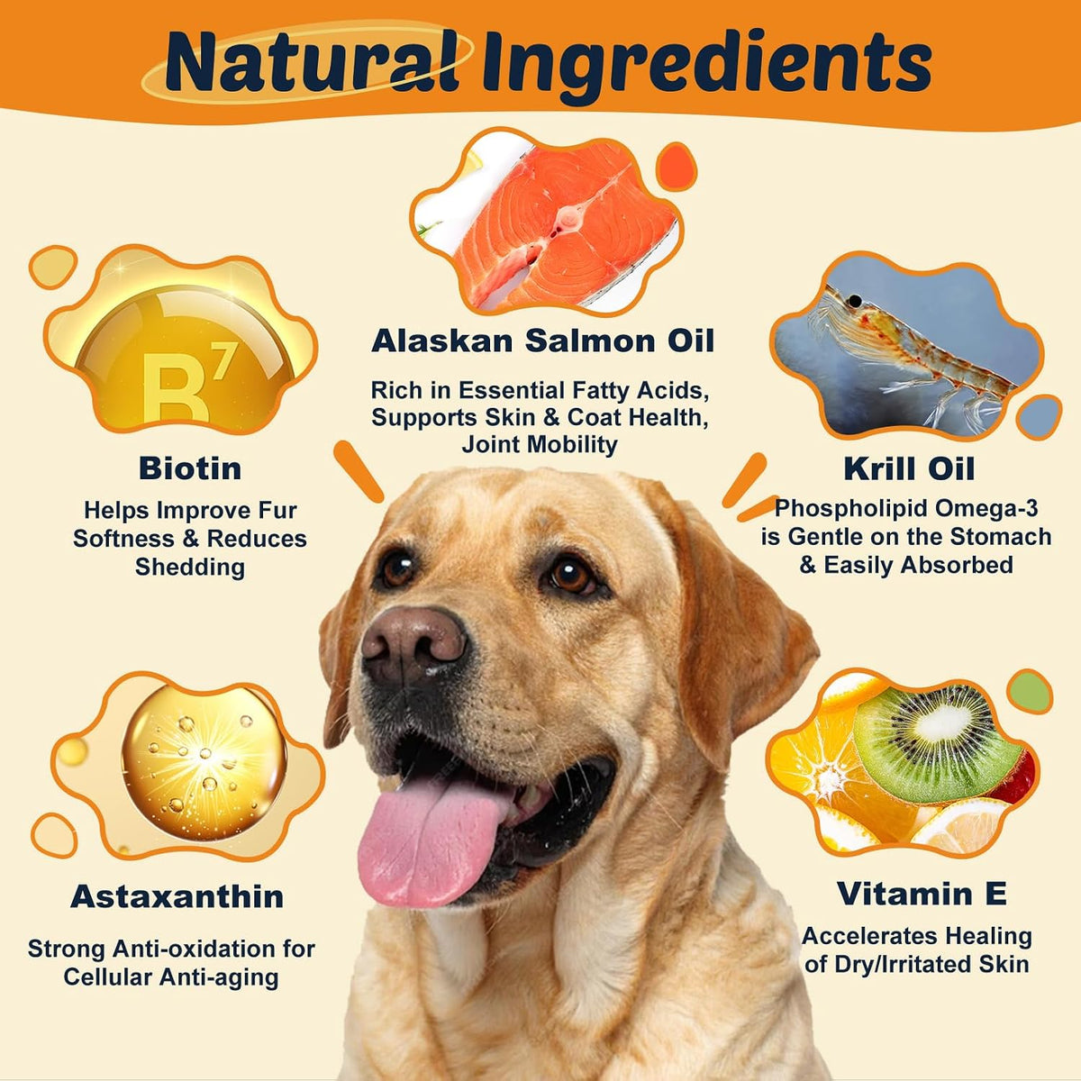 Omega-3 Fish Oil for Dogs, Salmon Oil with EPA & DHA for Skin & Coat Health, Itch & Allergy Support, Shedding, Hot Spots, – Image 2