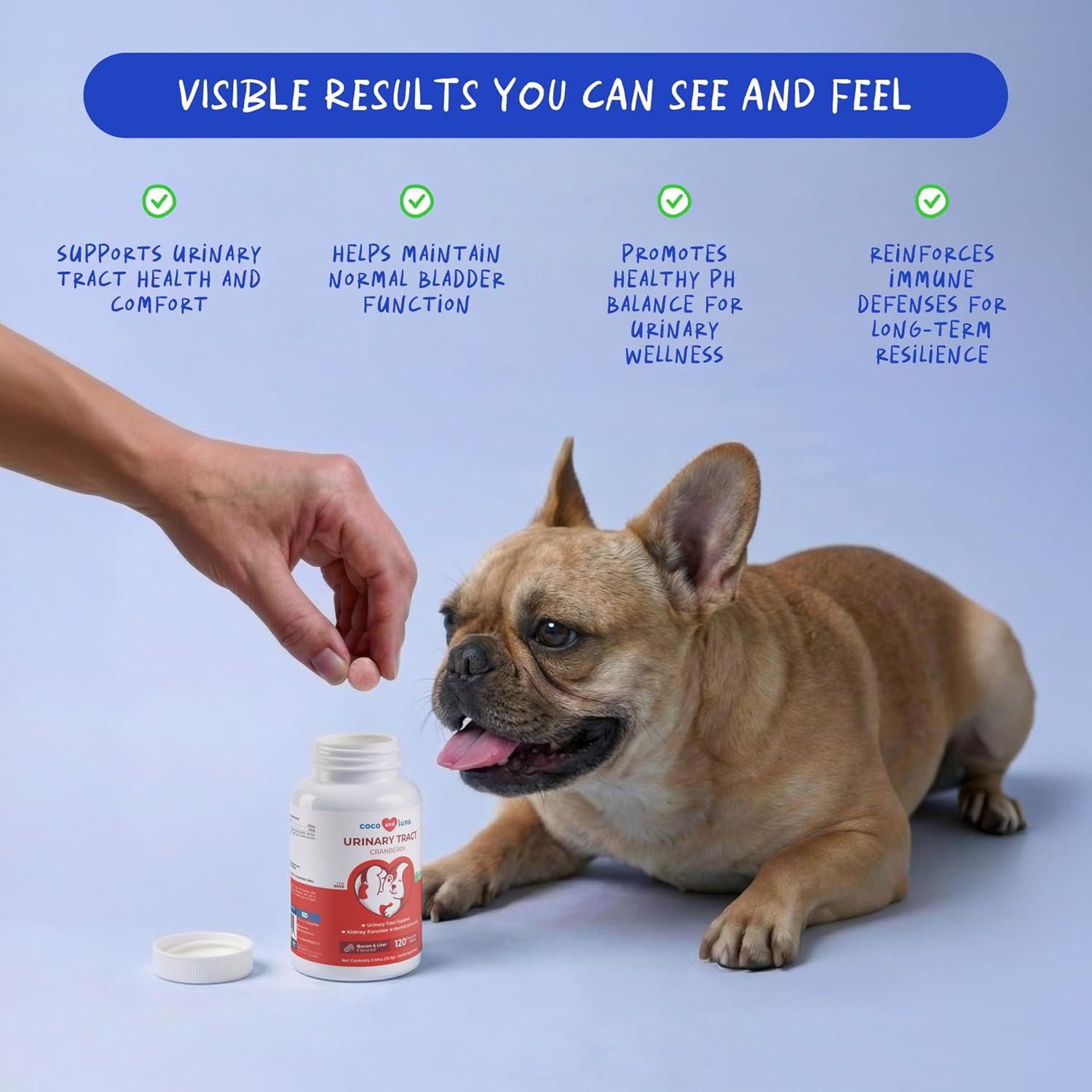 Cranberry for Dogs 120 Tablets – Urinary Tract & Bladder Support - görsel 2