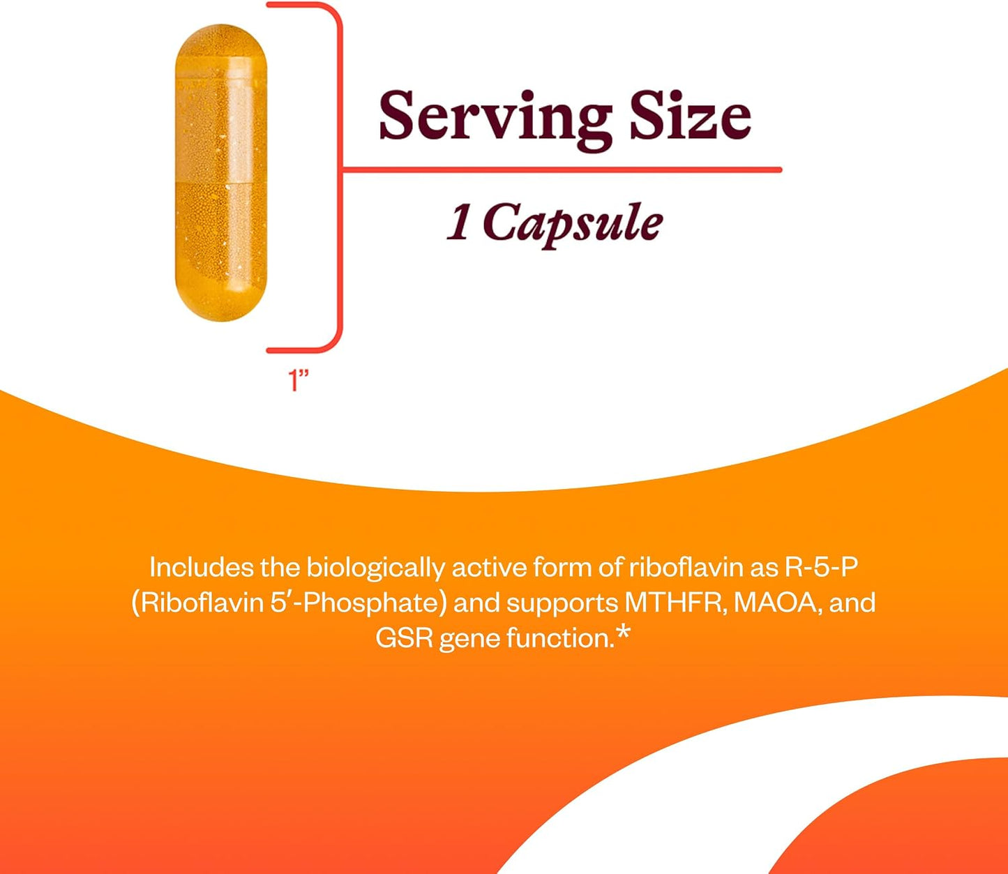 Seeking Health Riboflavin - Vitamin B2 for Energy Metabolism - 400 mg, 60 Capsules - görsel 3